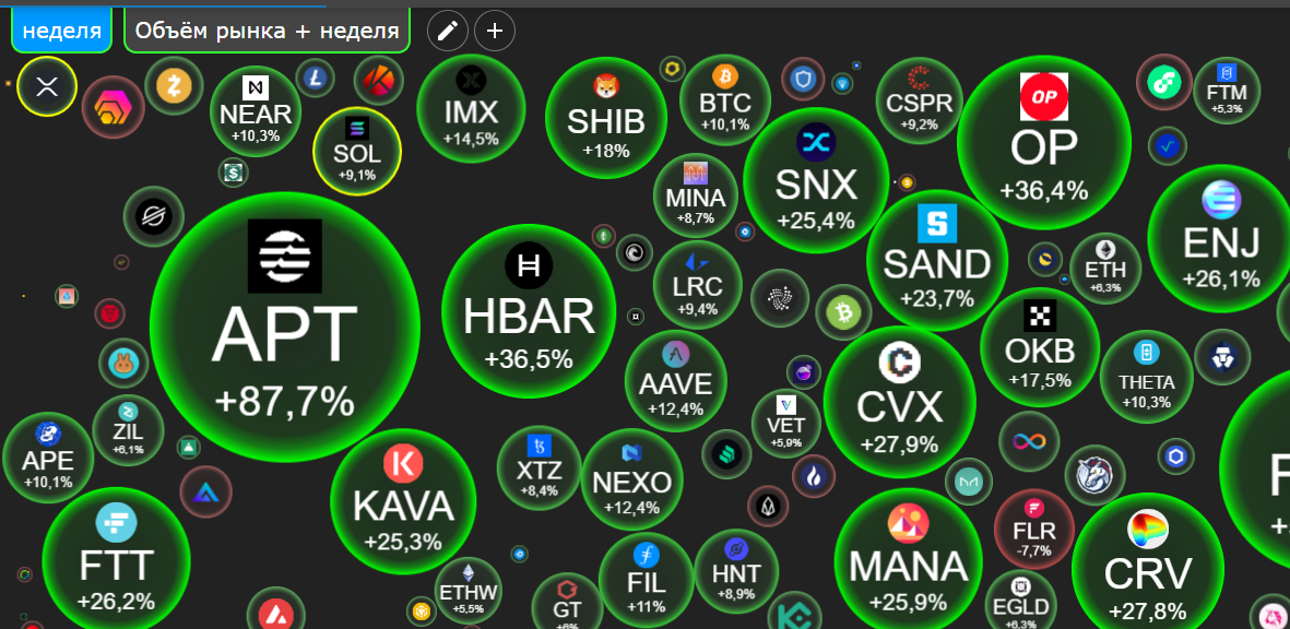 Фотография5